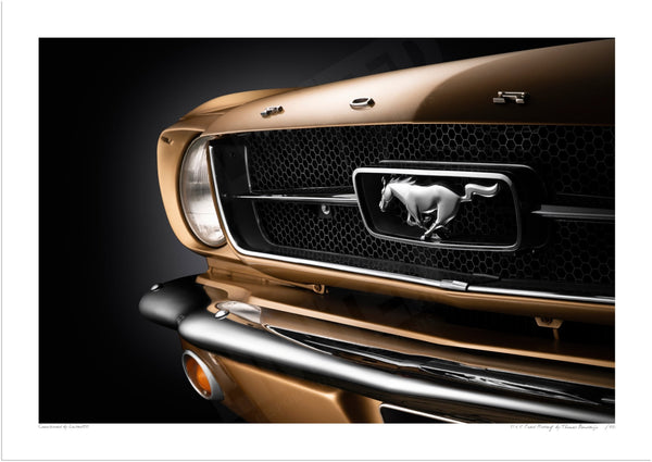 1965 Ford Mustang A3 (297 x 420 mm / 11.7 x 16.5 in) / Print-Only (Fine Art Paper) / No Mount