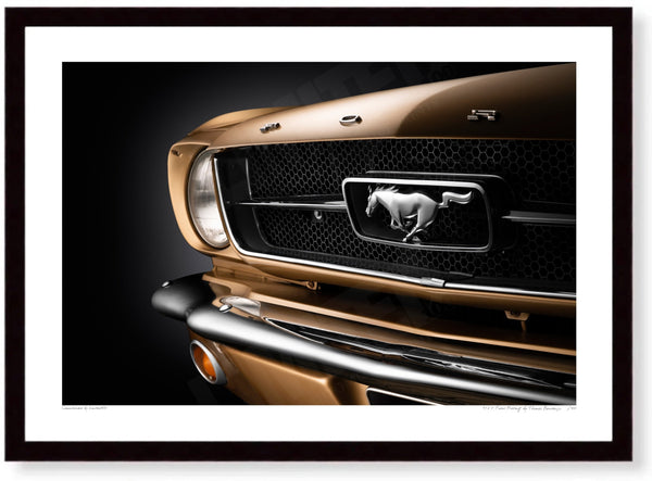 1965 Ford Mustang A3 (297 x 420 mm / 11.7 x 16.5 in) / Black Wood Frame (Printed on Fine Art Paper) / No Mount