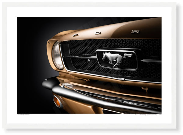 1965 Ford Mustang A3 (297 x 420 mm / 11.7 x 16.5 in) / White Wood Frame (Printed on Fine Art Paper) / No Mount