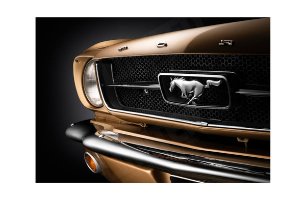 1965 Ford Mustang A3 (297 x 420 mm / 11.7 x 16.5 in) / Aluminium Composite / No Mount