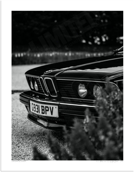 1989 BMW 635 CSi S (380mm x 297) / Print-Only (Fine Art Paper) / No Mount