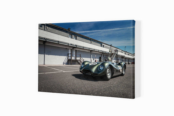 Lister ’Knobbly’ A3 (297 x 420 mm / 11.7 x 16.5 in) / Canvas Print (Mounted on Wood Internal Frame) / No Mount