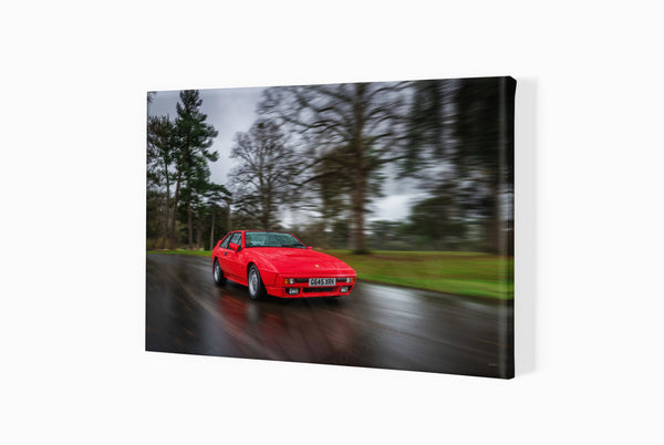 Lotus Excel SE A3 (297 x 420 mm / 11.7 x 16.5 in) / Canvas Print (Mounted on Wood Internal Frame) / No Mount