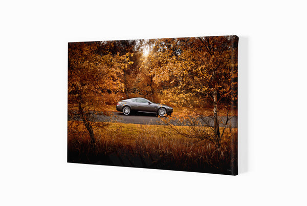 Aston Martin DB9 S (420mm x 285) / Canvas Print (Mounted on Wood Internal Frame) / No Mount