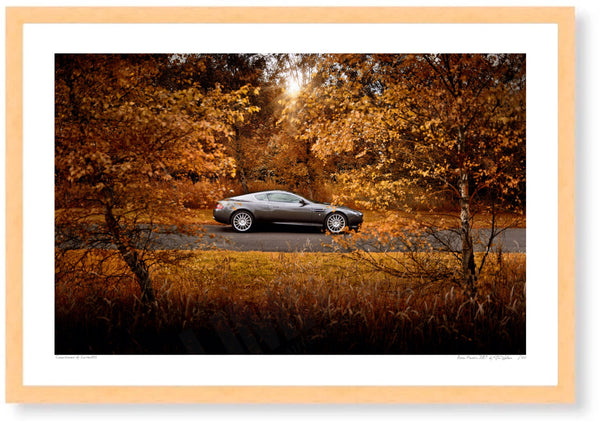 Aston Martin DB9 S (420mm x 285) / Wood Frame (Printed on Fine Art Paper) / No Mount