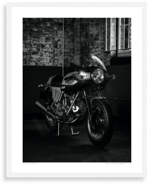 Ducati 900 Desmo SS S (380mm x 297) / White Wood Frame (Printed on Fine Art Paper) / No Mount