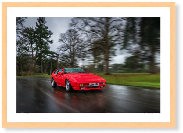 Lotus Excel SE A3 (297 x 420 mm / 11.7 x 16.5 in) / Wood Frame (Printed on Fine Art Paper) / No Mount