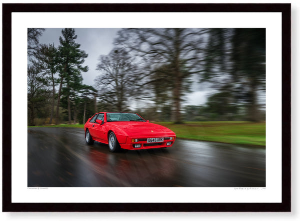 Lotus Excel SE A3 (297 x 420 mm / 11.7 x 16.5 in) / Black Wood Frame (Printed on Fine Art Paper) / No Mount