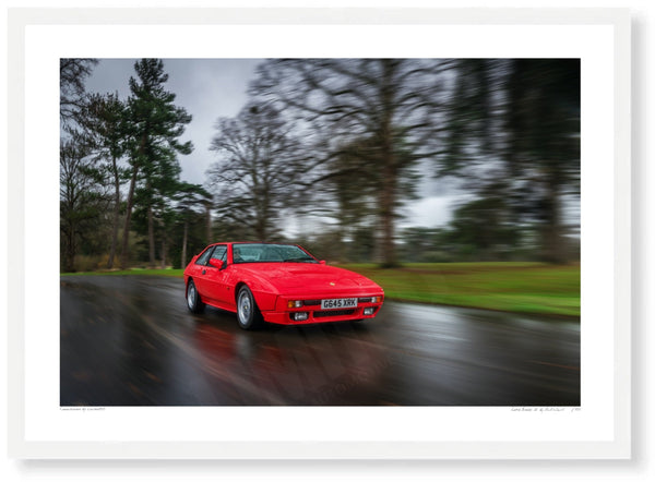 Lotus Excel SE A3 (297 x 420 mm / 11.7 x 16.5 in) / White Wood Frame (Printed on Fine Art Paper) / No Mount