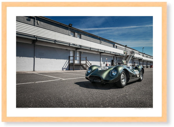 Lister ’Knobbly’ A3 (297 x 420 mm / 11.7 x 16.5 in) / Wood Frame (Printed on Fine Art Paper) / No Mount