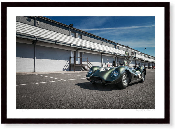 Lister ’Knobbly’ A3 (297 x 420 mm / 11.7 x 16.5 in) / Black Wood Frame (Printed on Fine Art Paper) / No Mount