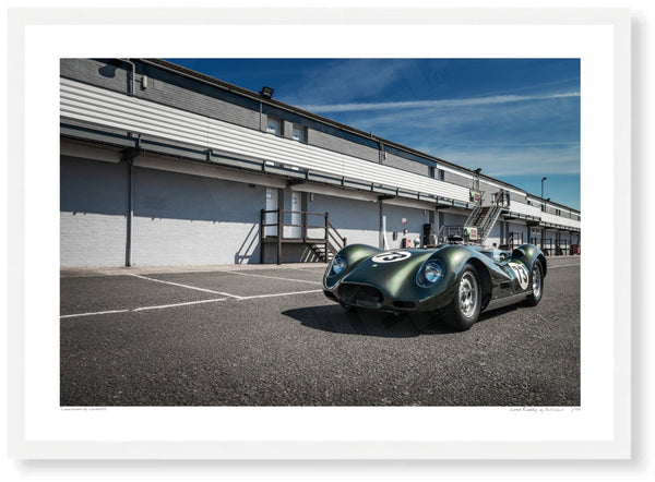 Lister ’Knobbly’ A3 (297 x 420 mm / 11.7 x 16.5 in) / White Wood Frame (Printed on Fine Art Paper) / No Mount
