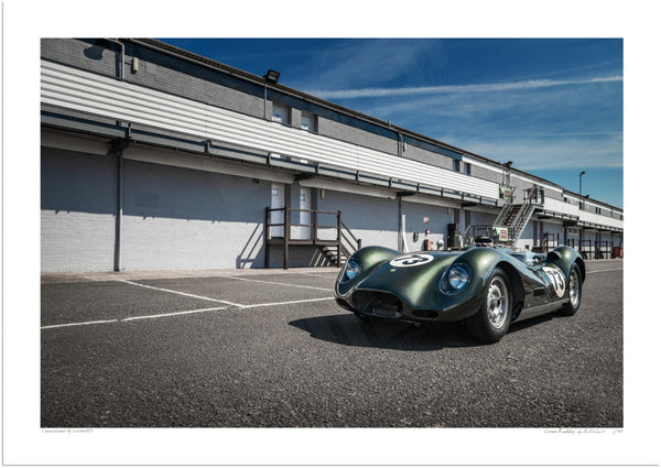 Lister ’Knobbly’ A3 (297 x 420 mm / 11.7 x 16.5 in) / Print-Only (Fine Art Paper) / No Mount