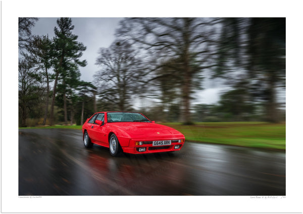 Lotus Excel SE A3 (297 x 420 mm / 11.7 x 16.5 in) / Print-Only (Fine Art Paper) / No Mount