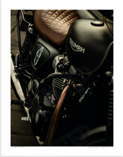 Triumph Street Twin S (380mm x 297) / Print-Only (Fine Art Paper) / No Mount
