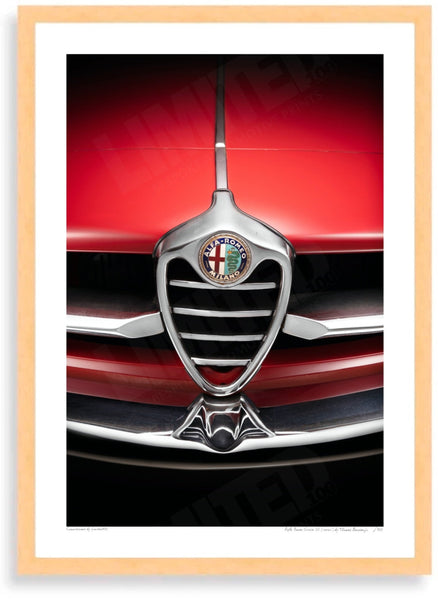 Alfa Romeo Giulia SS (detail)