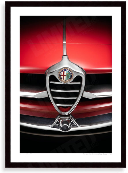 Alfa Romeo Giulia SS (detail)