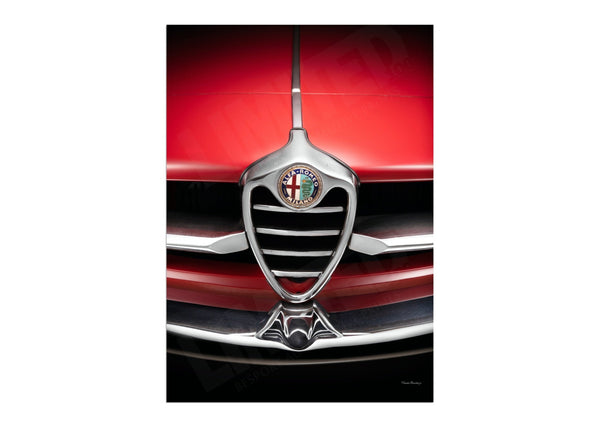 Alfa Romeo Giulia SS (detail)