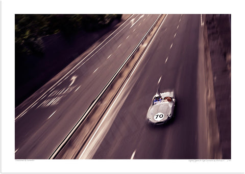 Longnose Jaguar D-type Continuation